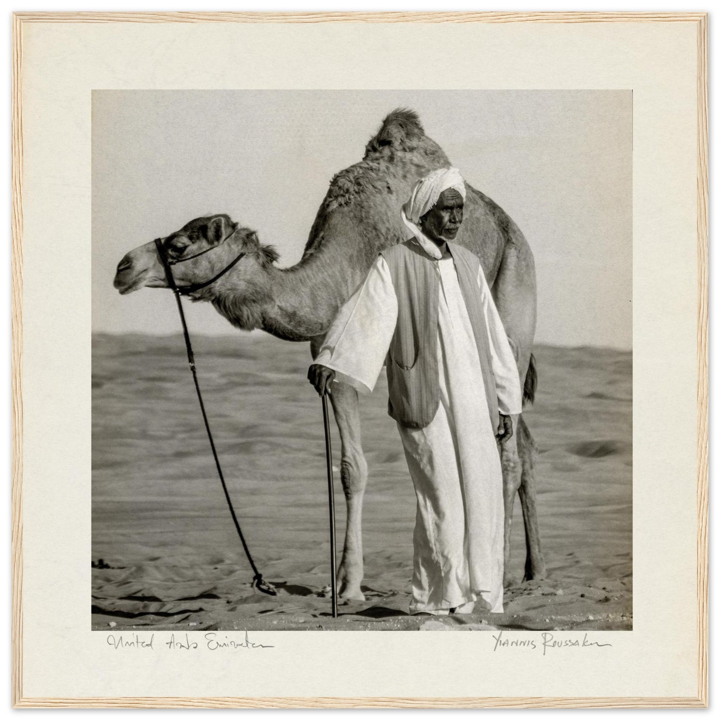 d4950c95-6f2b-4db7-9d3e-92ecd4a8508a