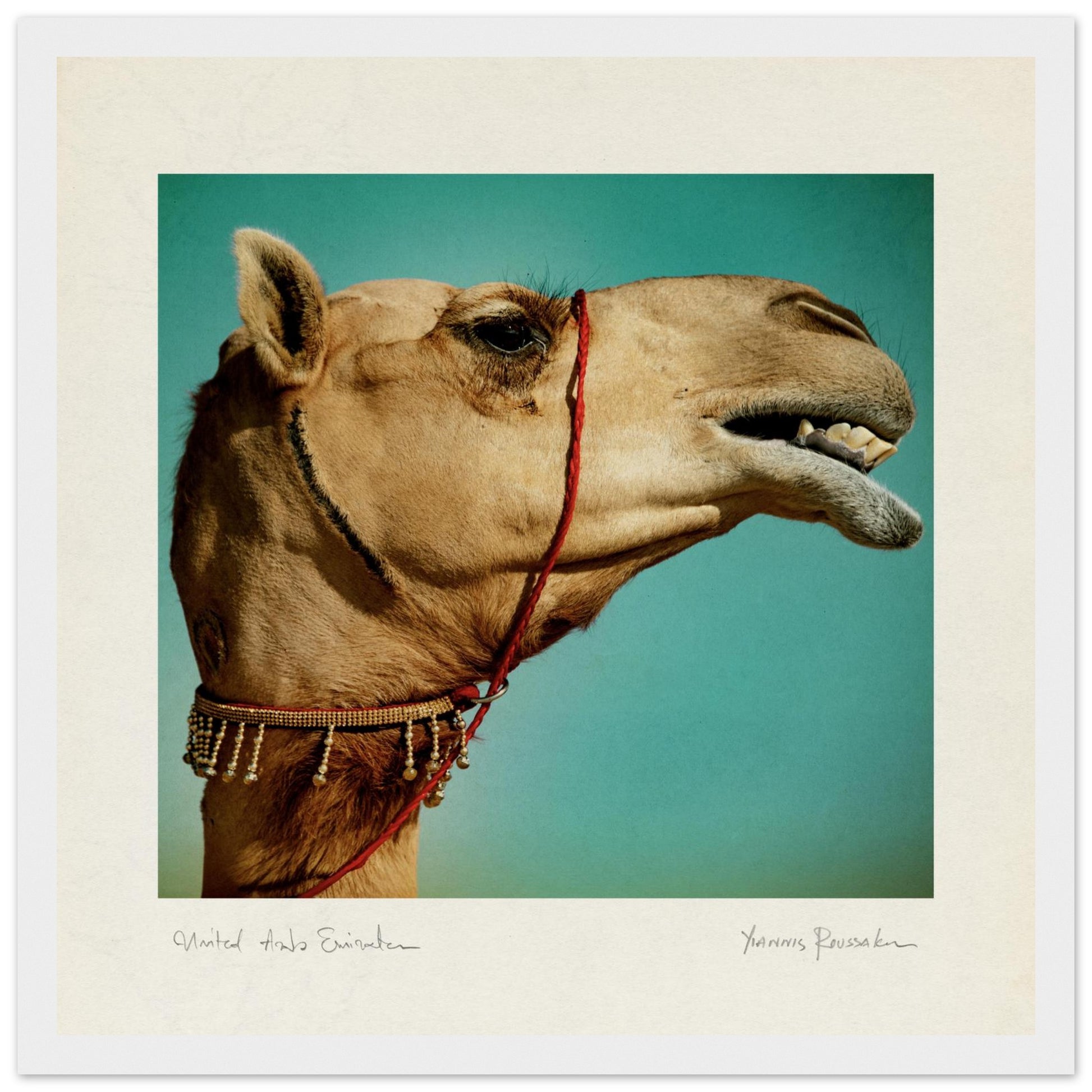 d5ed3ad3-44b9-40b3-9549-d4705563044c