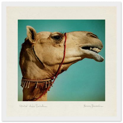 d5ed3ad3-44b9-40b3-9549-d4705563044c