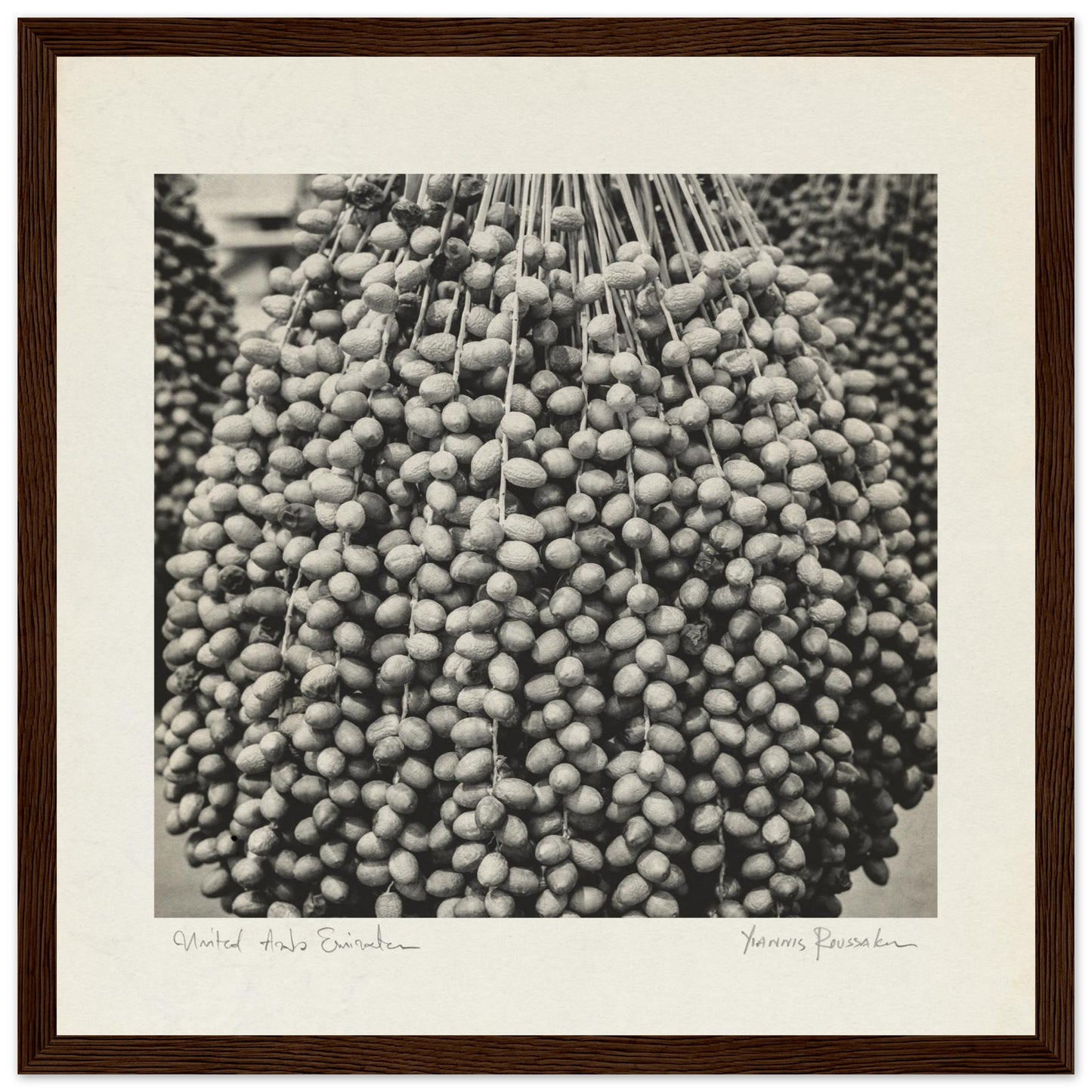 d6108228-67f0-434c-bbbc-a384784a357e