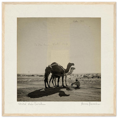 d7d46a53-23bd-4fb6-b418-5a61206edb07