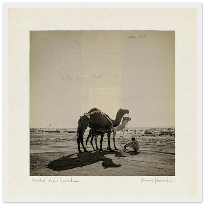 d8218a7d-15ba-4498-ac62-d5b2d0c53c92