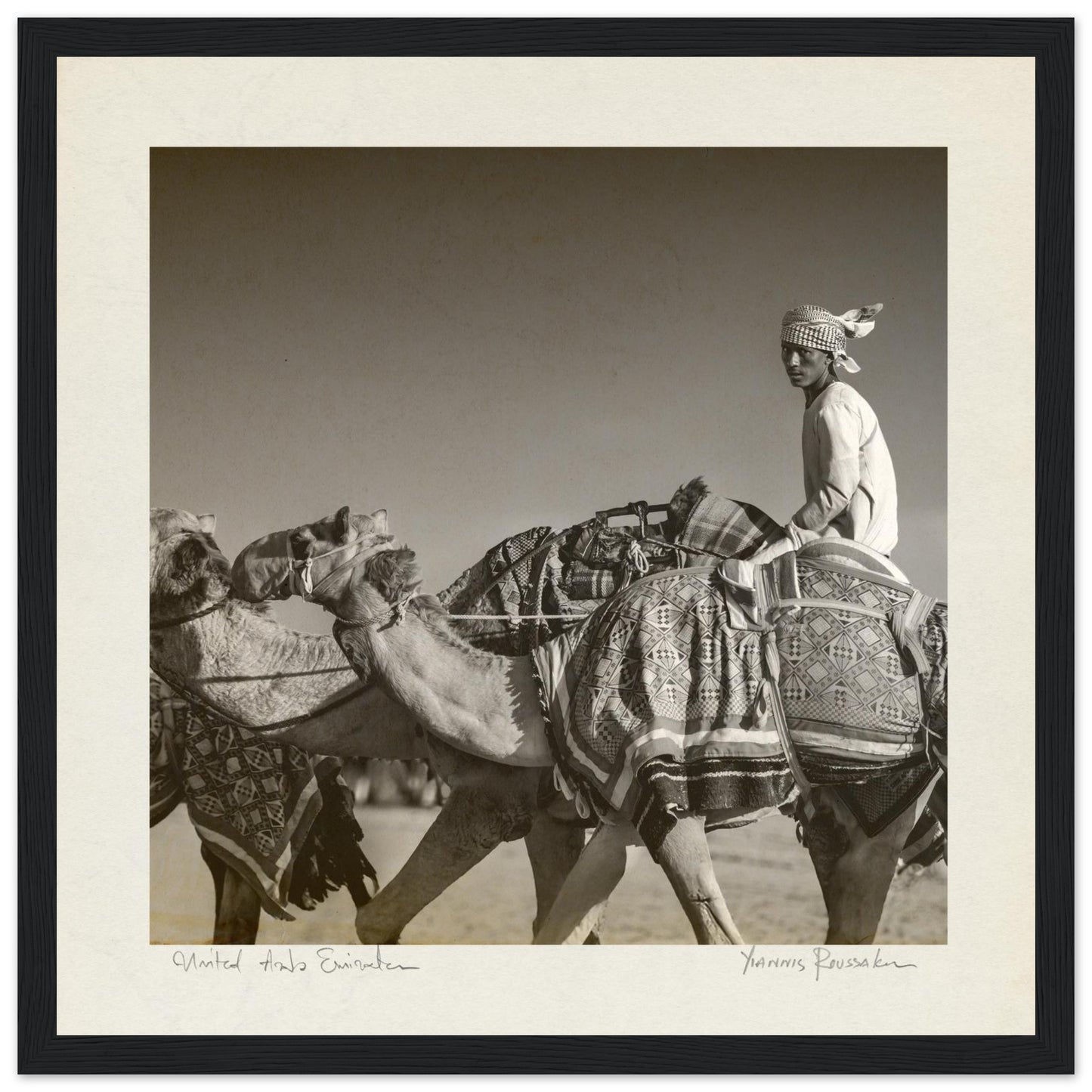 d87bef47-4453-4db6-835d-71ea1bc8ed08