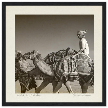 d87bef47-4453-4db6-835d-71ea1bc8ed08