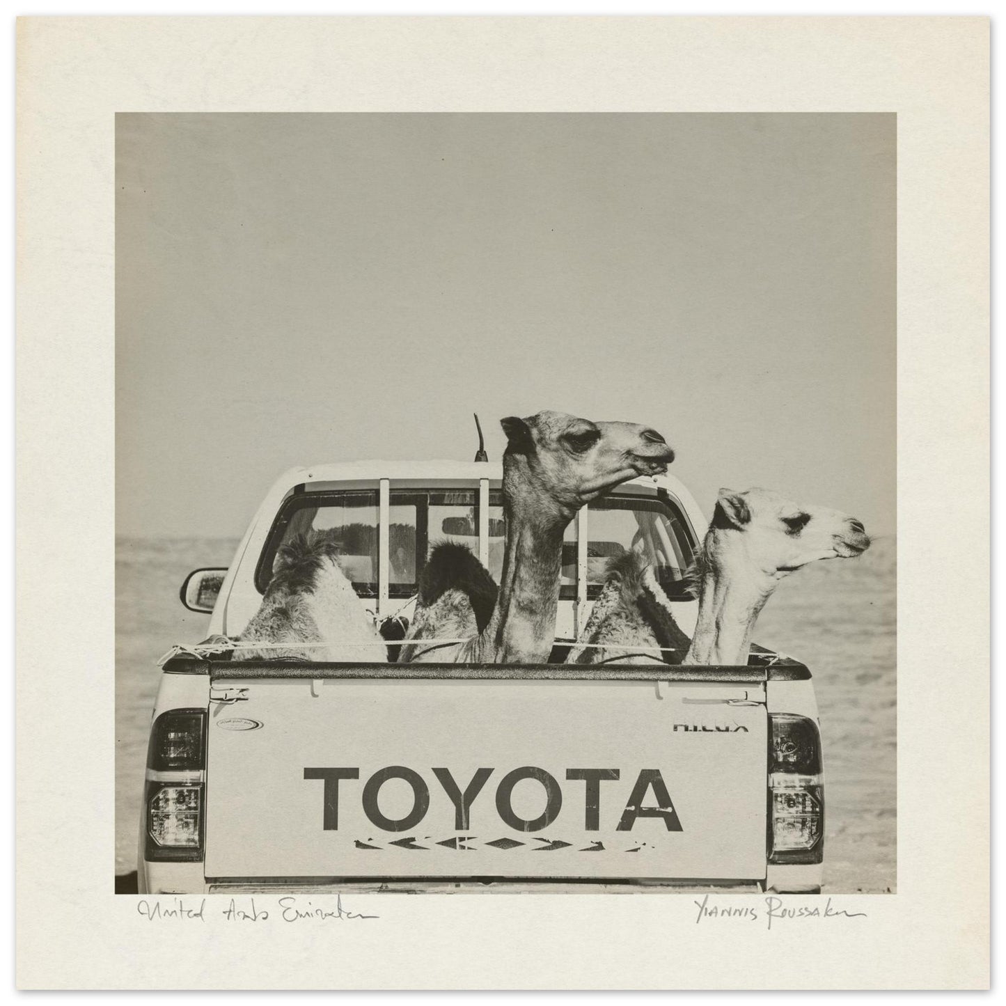 d8c52f5e-ed58-4f00-9f87-c802cf91934c