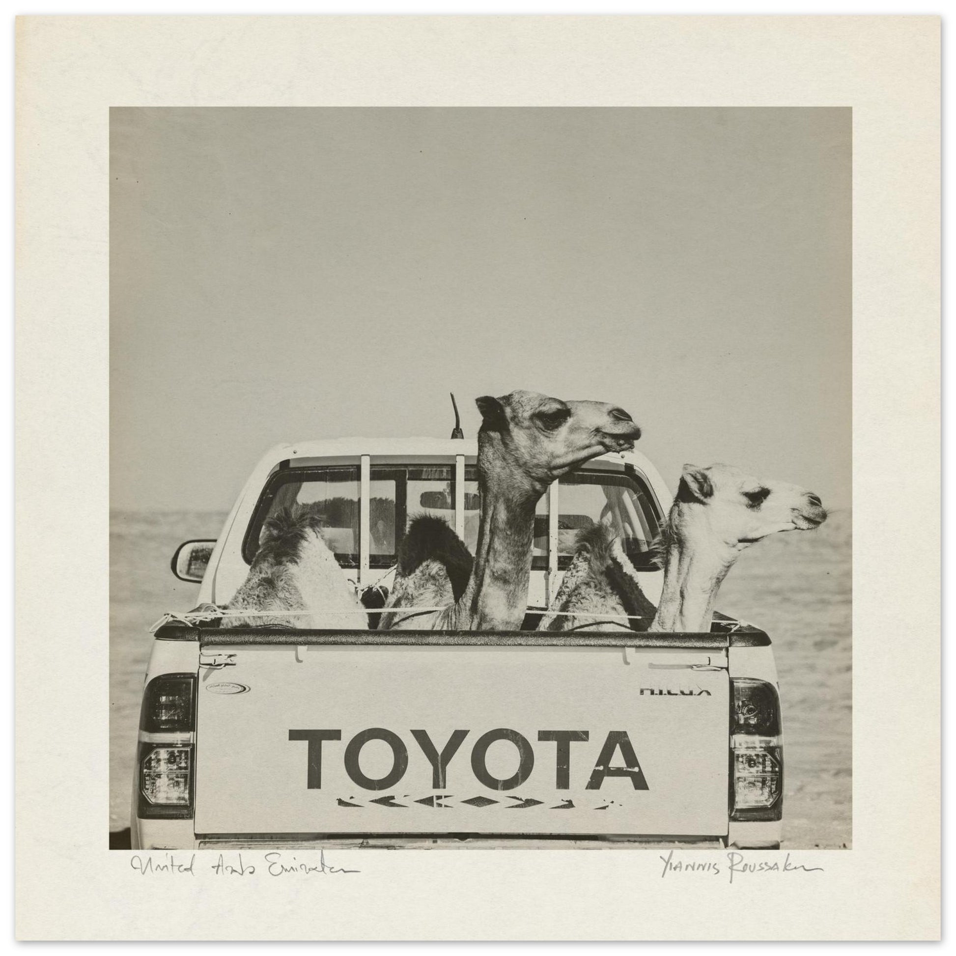 d8c52f5e-ed58-4f00-9f87-c802cf91934c