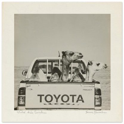 d8c52f5e-ed58-4f00-9f87-c802cf91934c