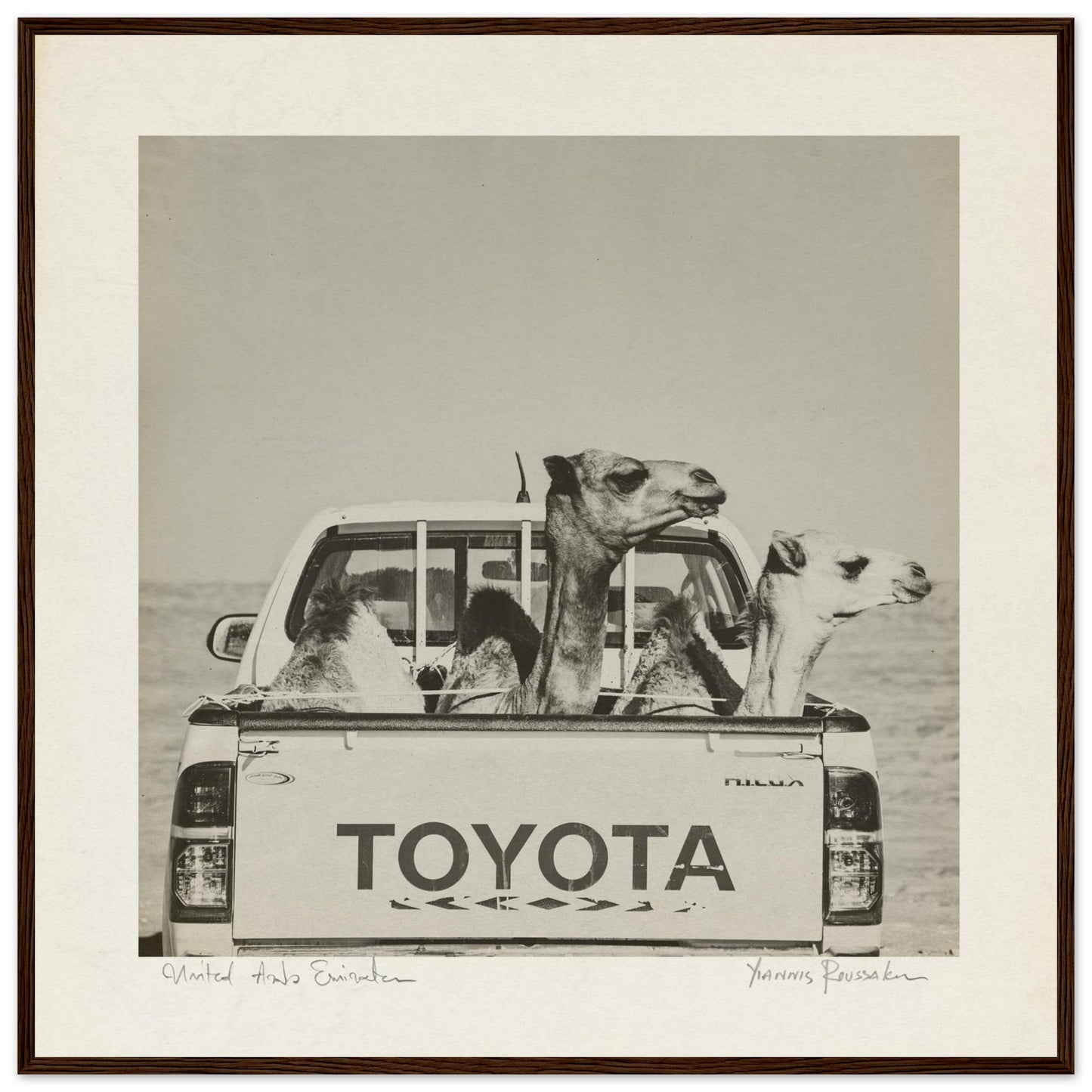 db947472-94bc-4bd8-8d92-4dce196de518