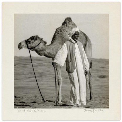 dc51d26d-1817-455e-bc5e-acf2f36f2aba