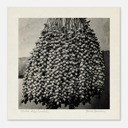 dc6a62a8-691c-4134-b56d-8f210308e93c