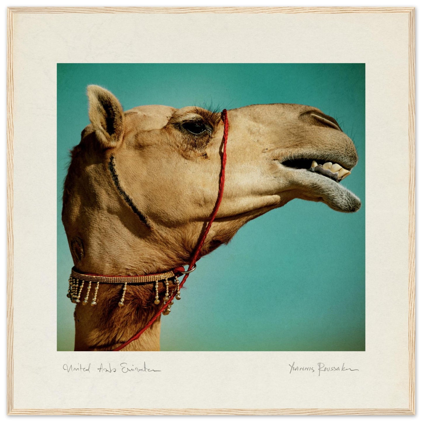 dc876c2c-6e0c-4d0b-9b5a-ab3549385a2f