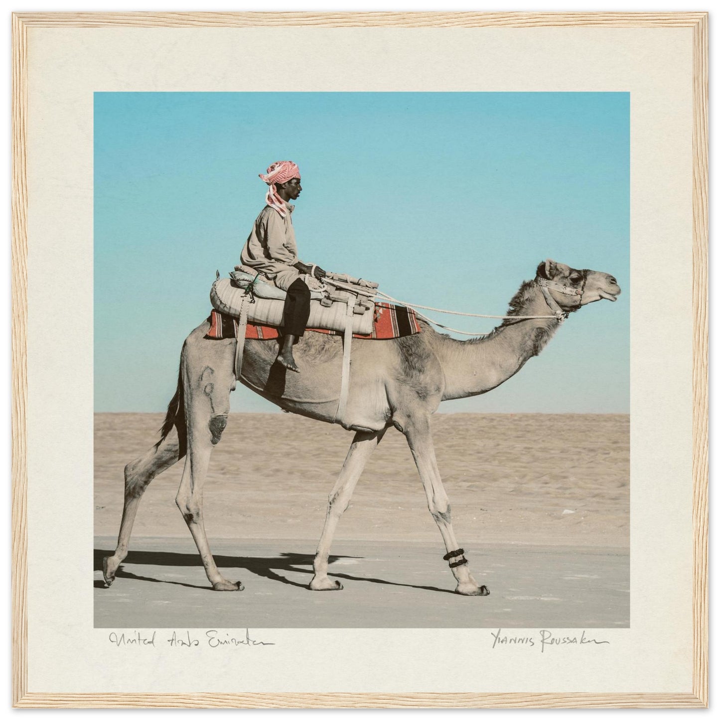 dccad33f-69e7-487f-bda0-4f0190ea7e85