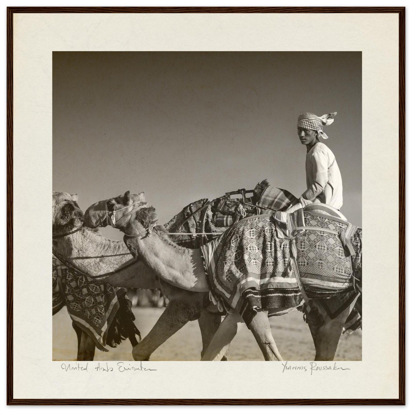 dcf6ddb7-c064-44b0-88a0-f6175ecde446