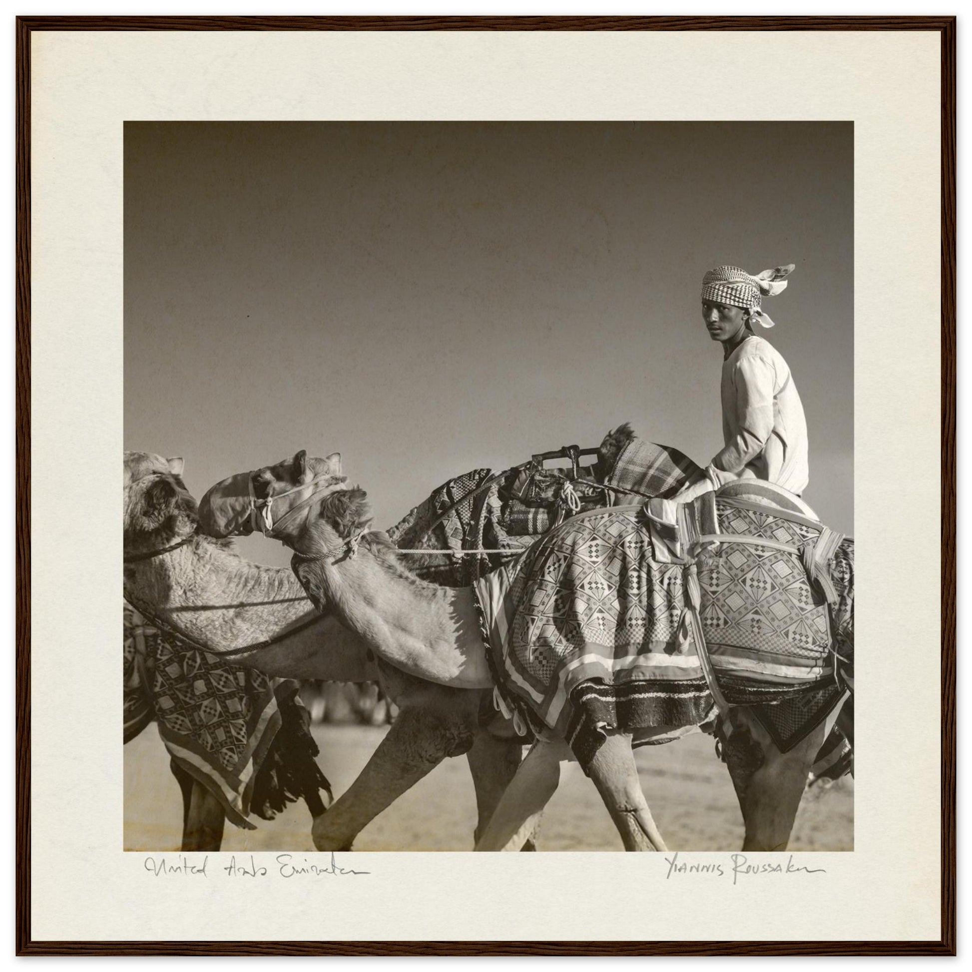 dcf6ddb7-c064-44b0-88a0-f6175ecde446