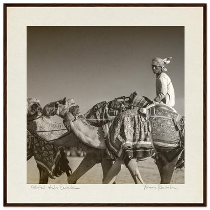 dcf6ddb7-c064-44b0-88a0-f6175ecde446