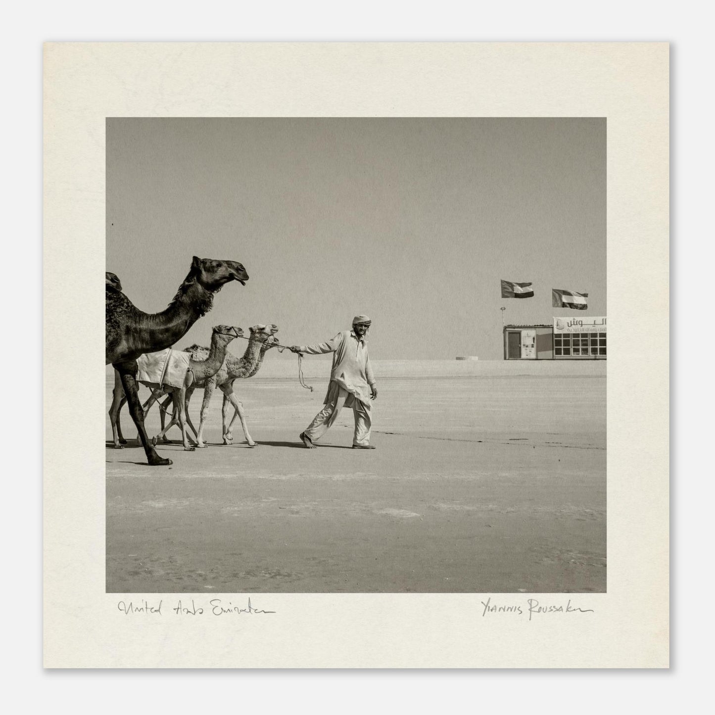 dd2c4e13-9693-4fc6-b5e3-1314a1ea3562