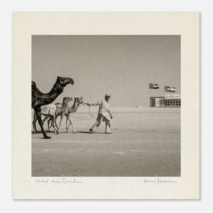 dd2c4e13-9693-4fc6-b5e3-1314a1ea3562