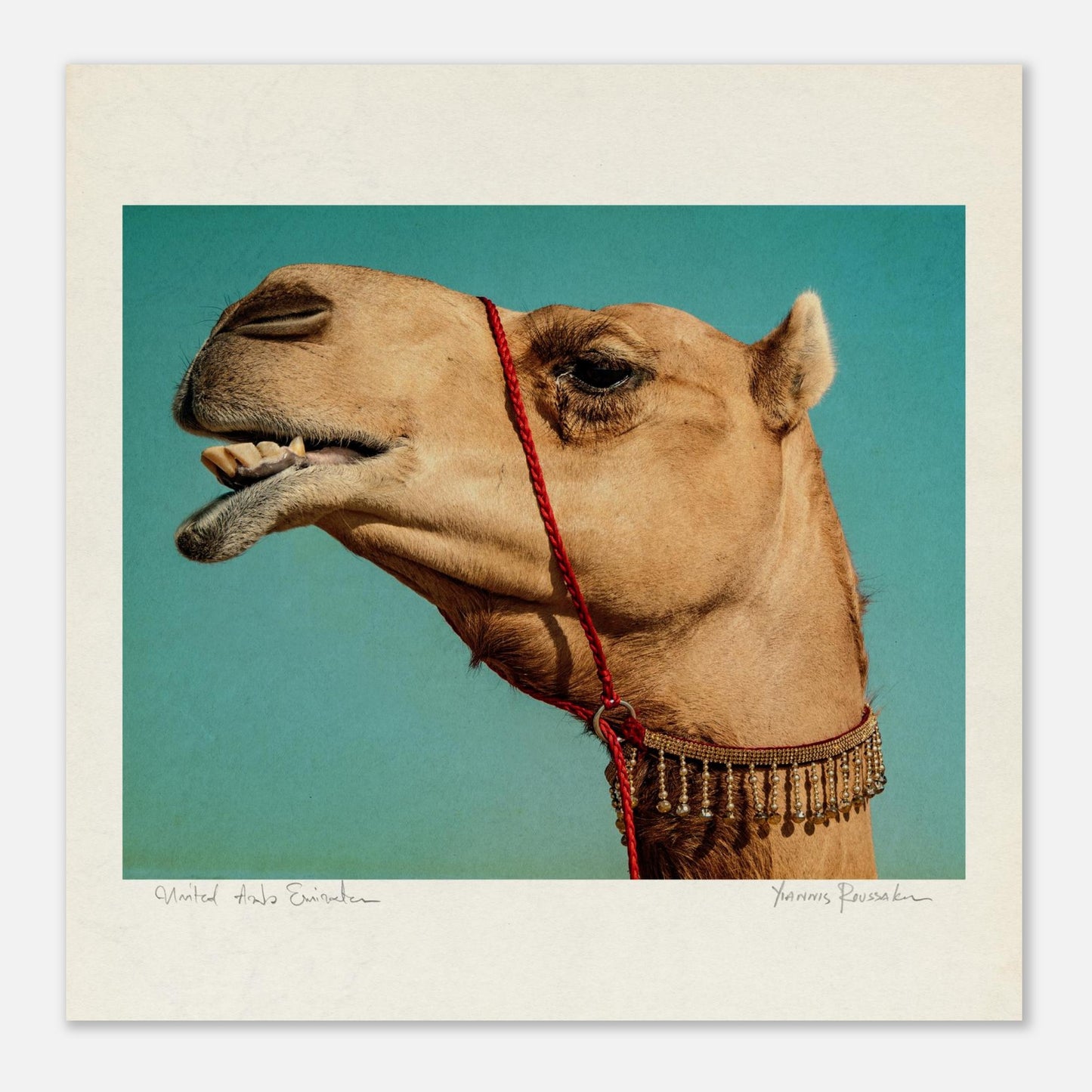 dd4589d1-846a-4e16-9d6e-0fa394612f44