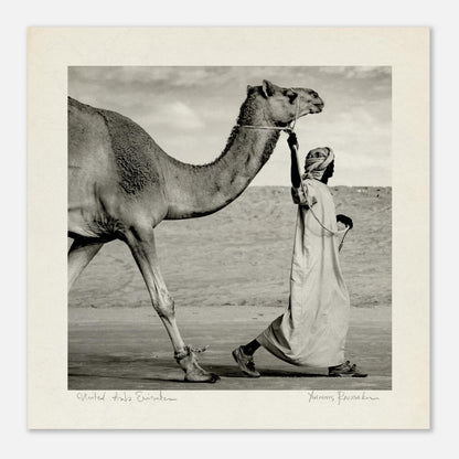 dd5606df-420c-44e1-b04b-065f87c8861f