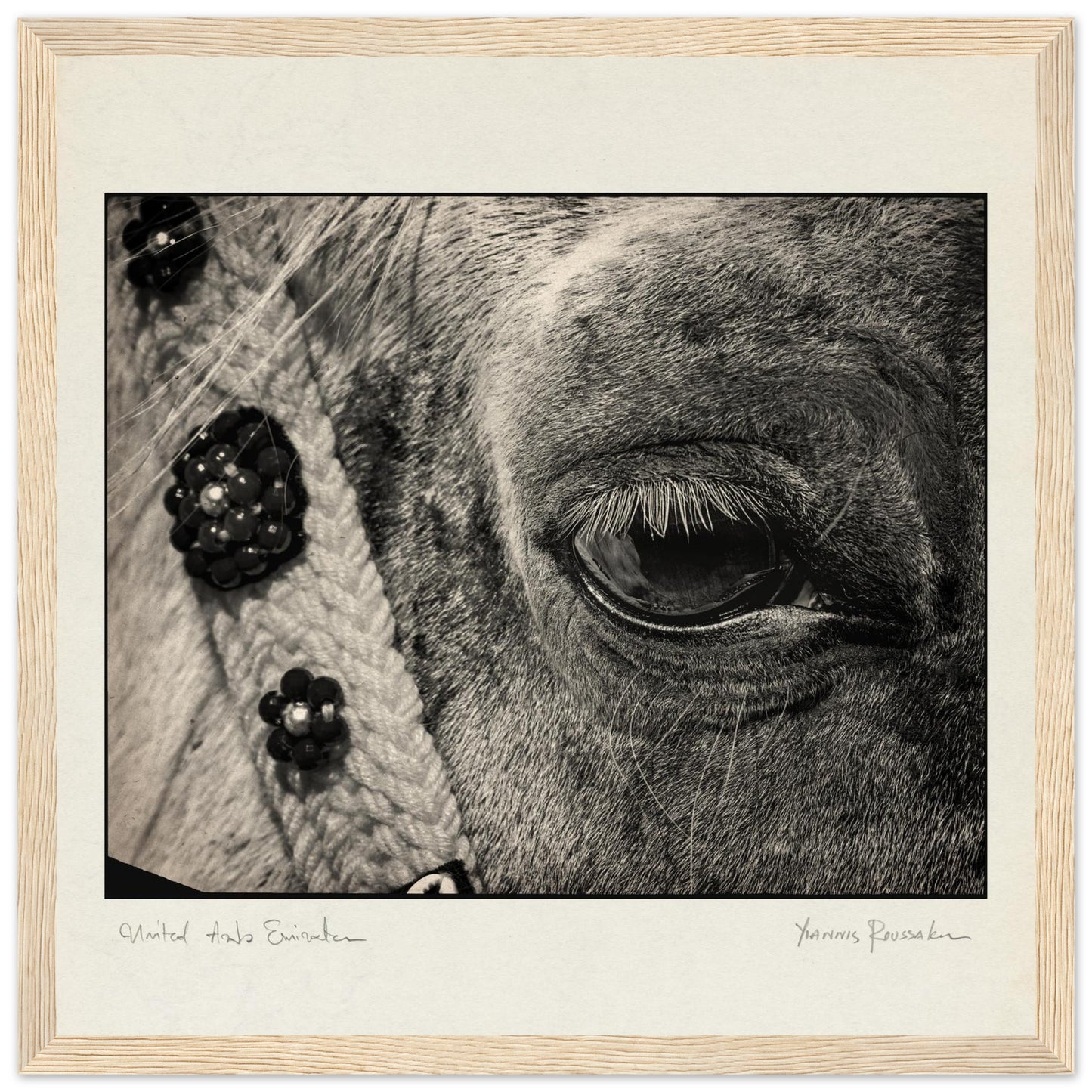 dd68ce84-b326-4b13-a680-8dd2b55a910c