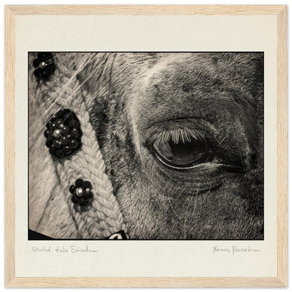 dd68ce84-b326-4b13-a680-8dd2b55a910c