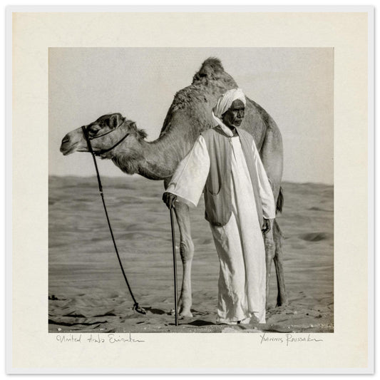 de2c8c11-4e21-414f-a6b0-506185bf4e7b