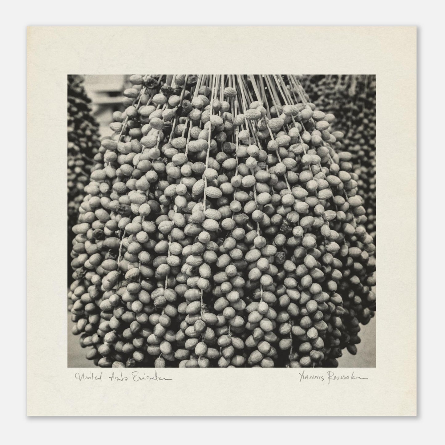 df01e311-b47d-4094-818f-f783d7b54b58