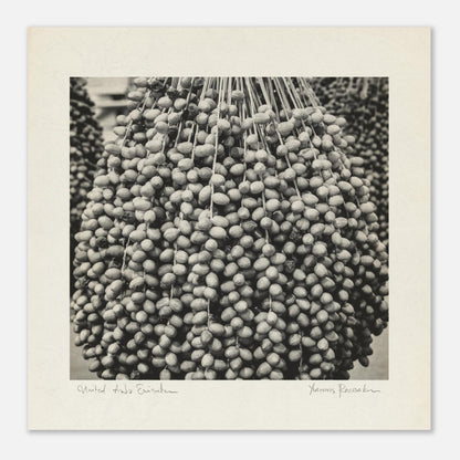 df01e311-b47d-4094-818f-f783d7b54b58