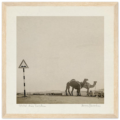 e2136a98-b5a7-458e-9651-38e17849c0ba