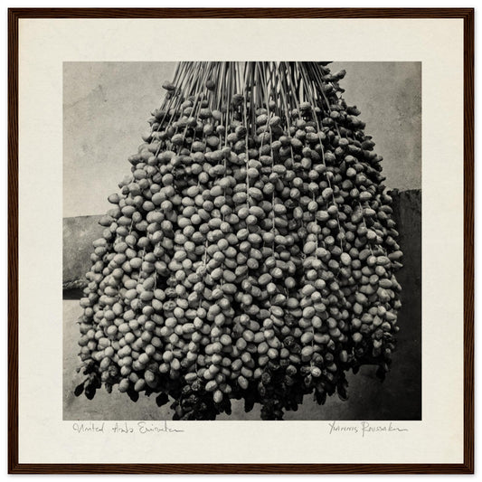 e21668dc-e6ea-493b-ae34-e1a4becf436b