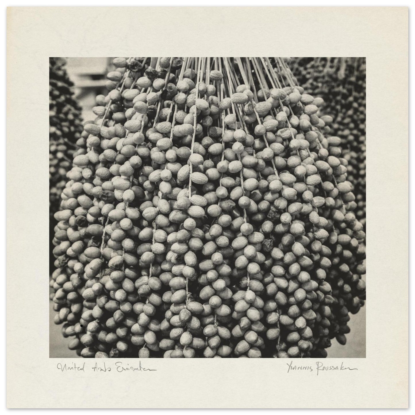 e3356faa-26c5-4ff7-a928-b9f22ee12293