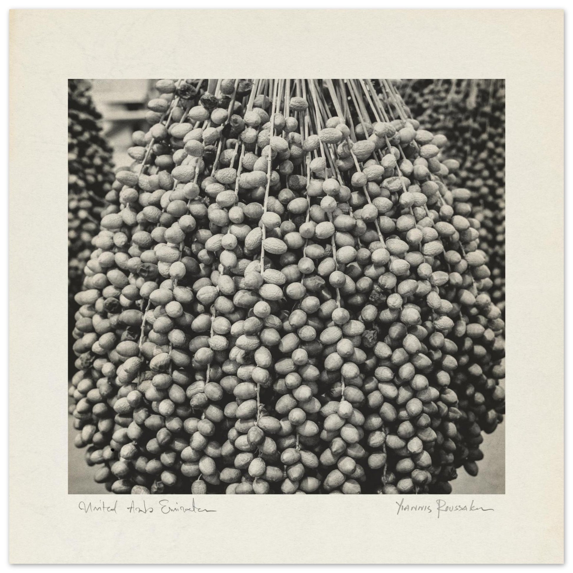 e3356faa-26c5-4ff7-a928-b9f22ee12293