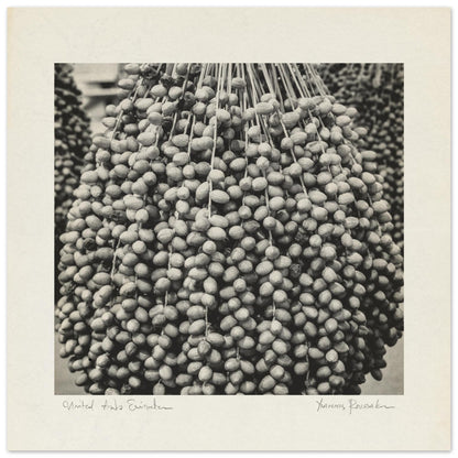 e3356faa-26c5-4ff7-a928-b9f22ee12293