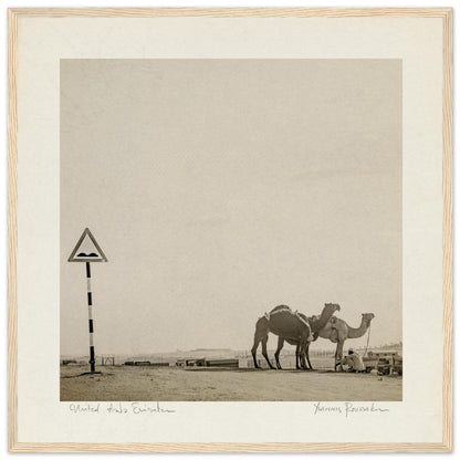 e4451563-73be-48d8-99d5-3692fec893d9