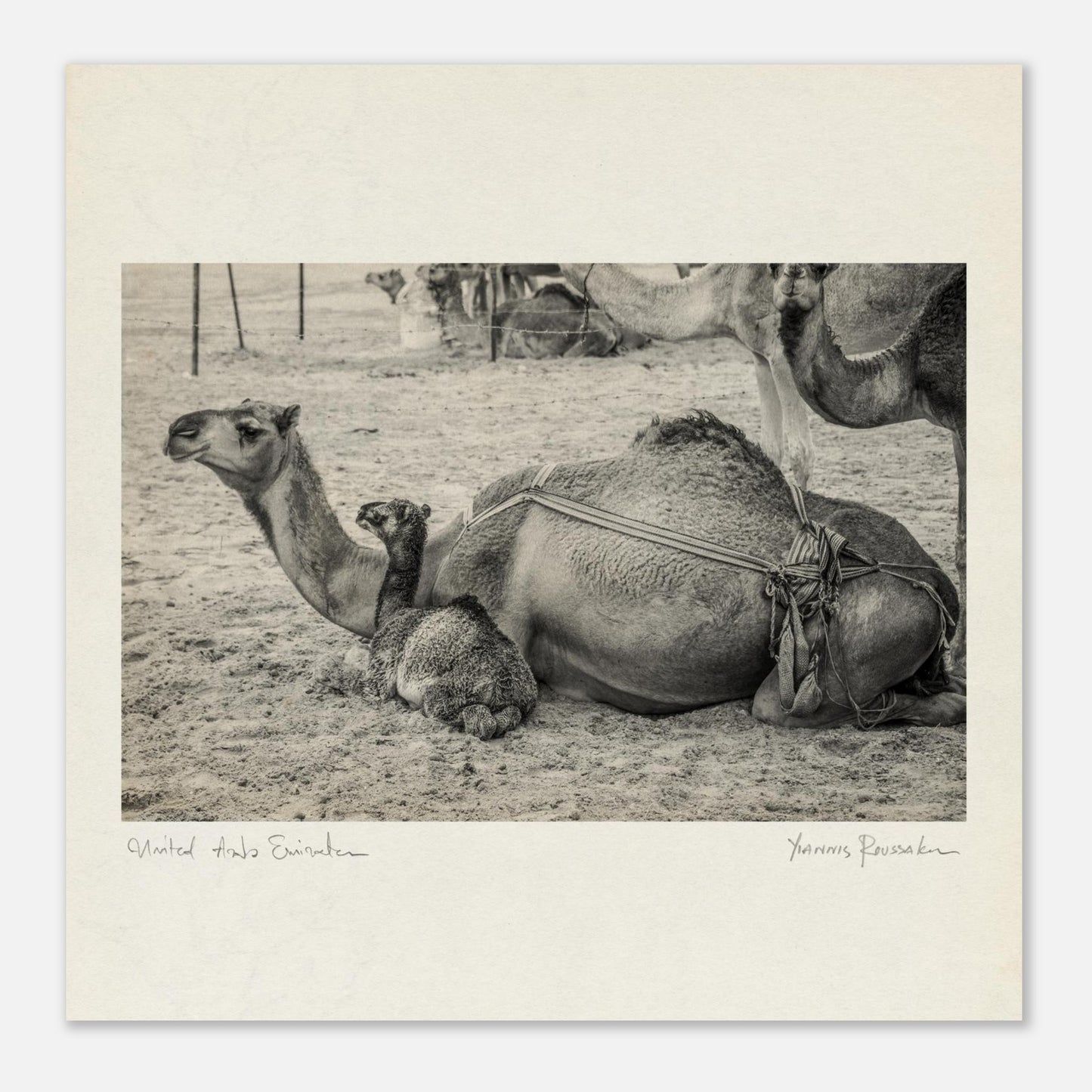 e4854b1a-ef7f-4bf9-b392-e0252c4afa04