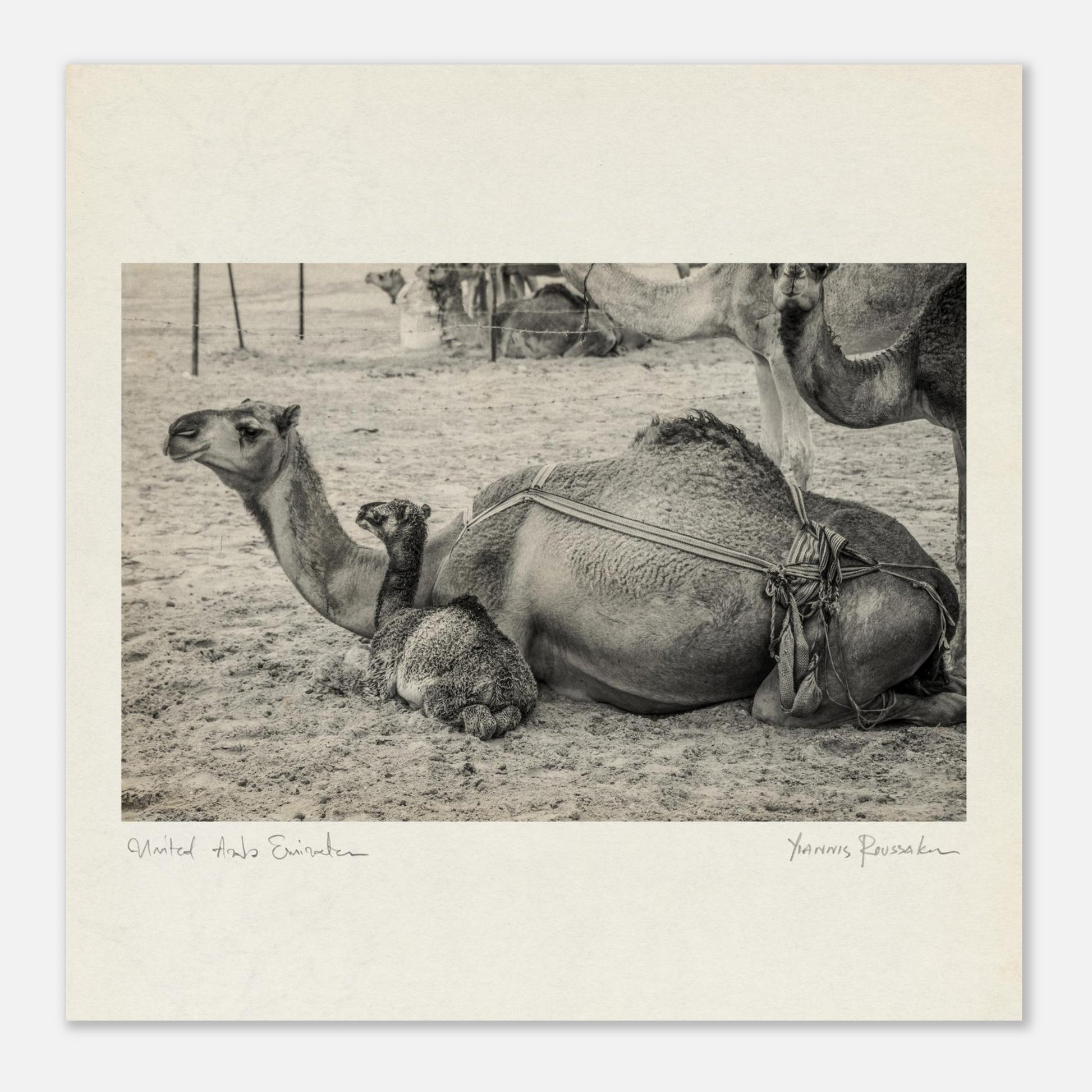 e4854b1a-ef7f-4bf9-b392-e0252c4afa04