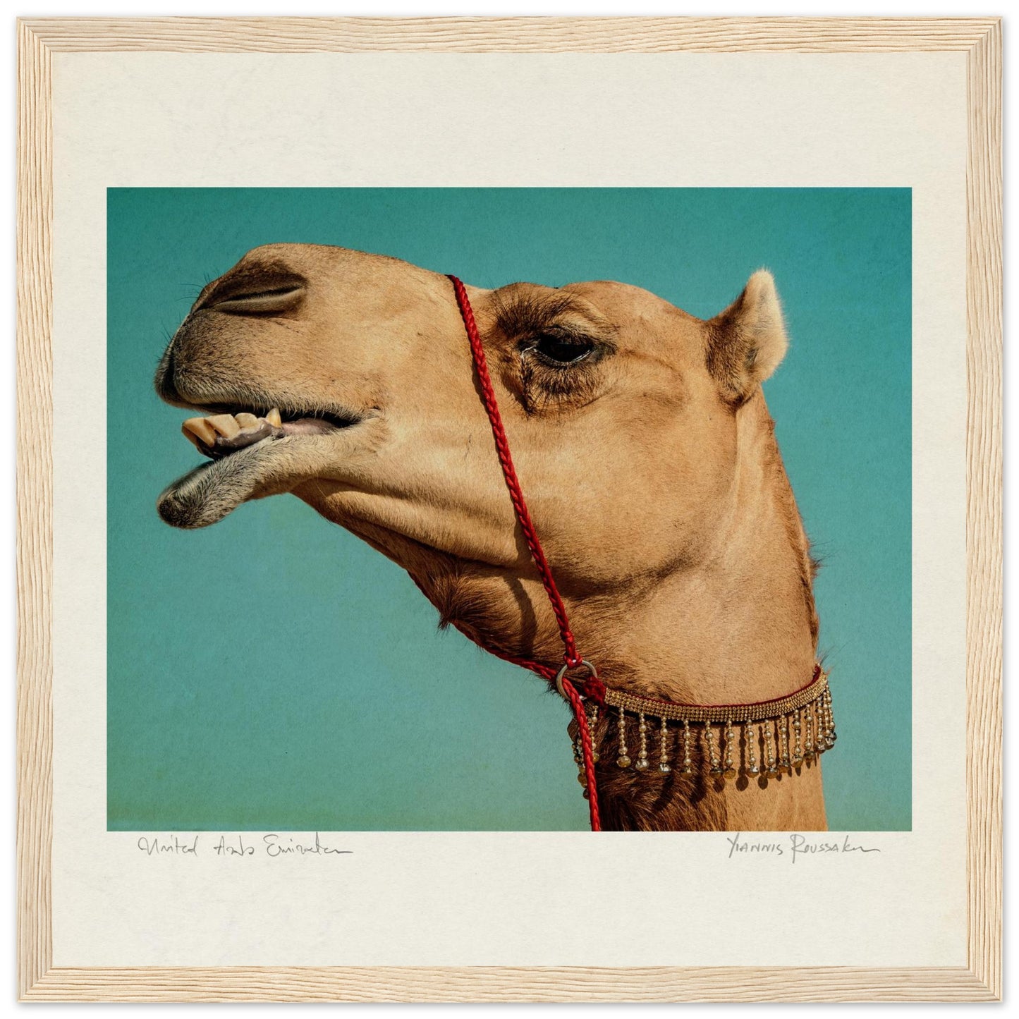 e67382db-06e9-4f20-af8e-ac8ef31192f2