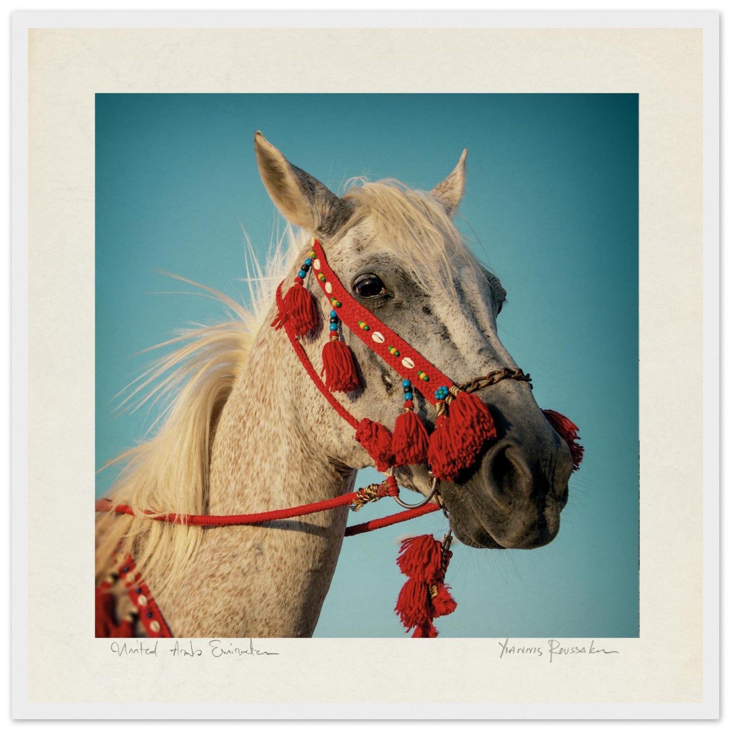 e8a36703-beea-4717-895c-04489939d438