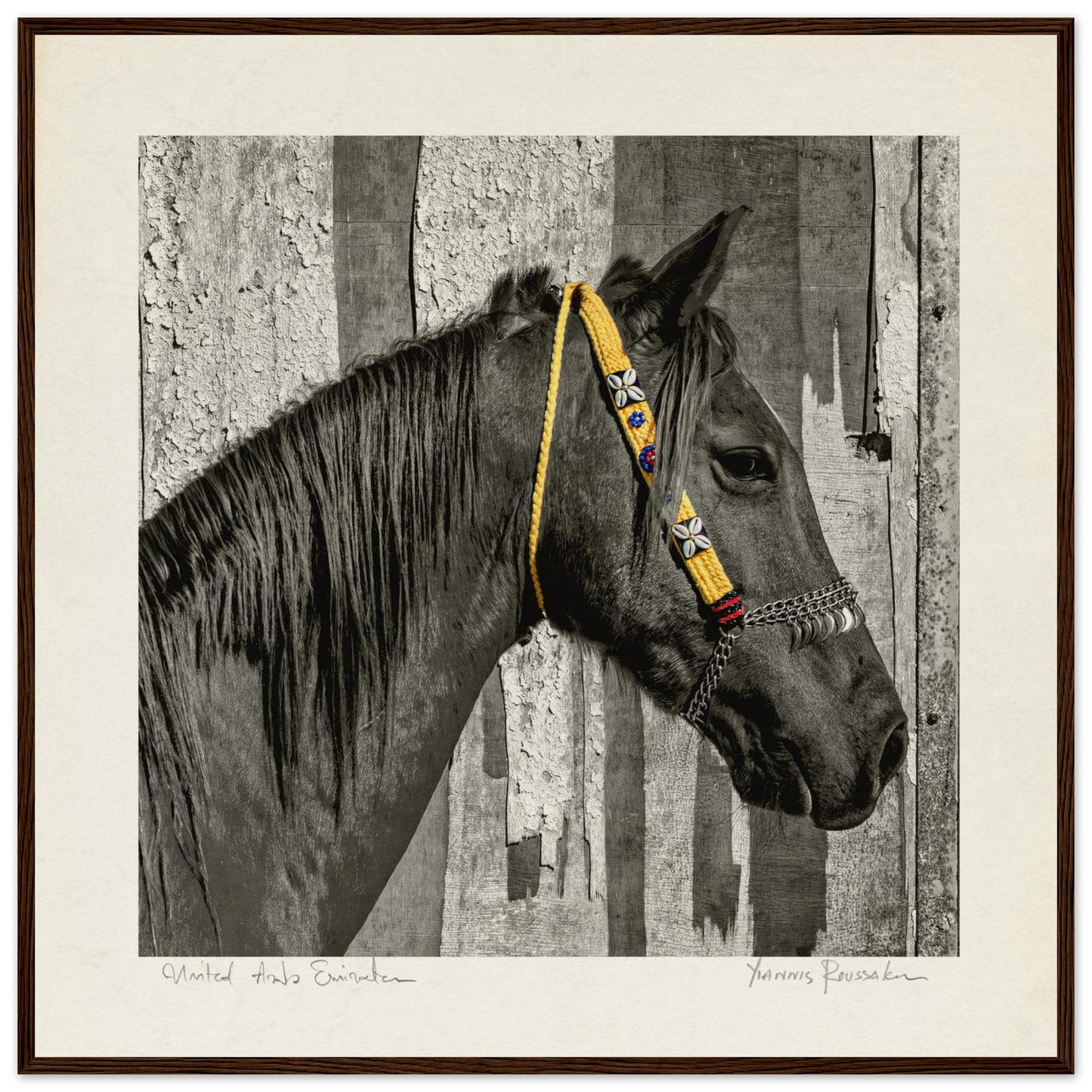 e8b52fa9-4413-46f9-b859-6c2f63757841