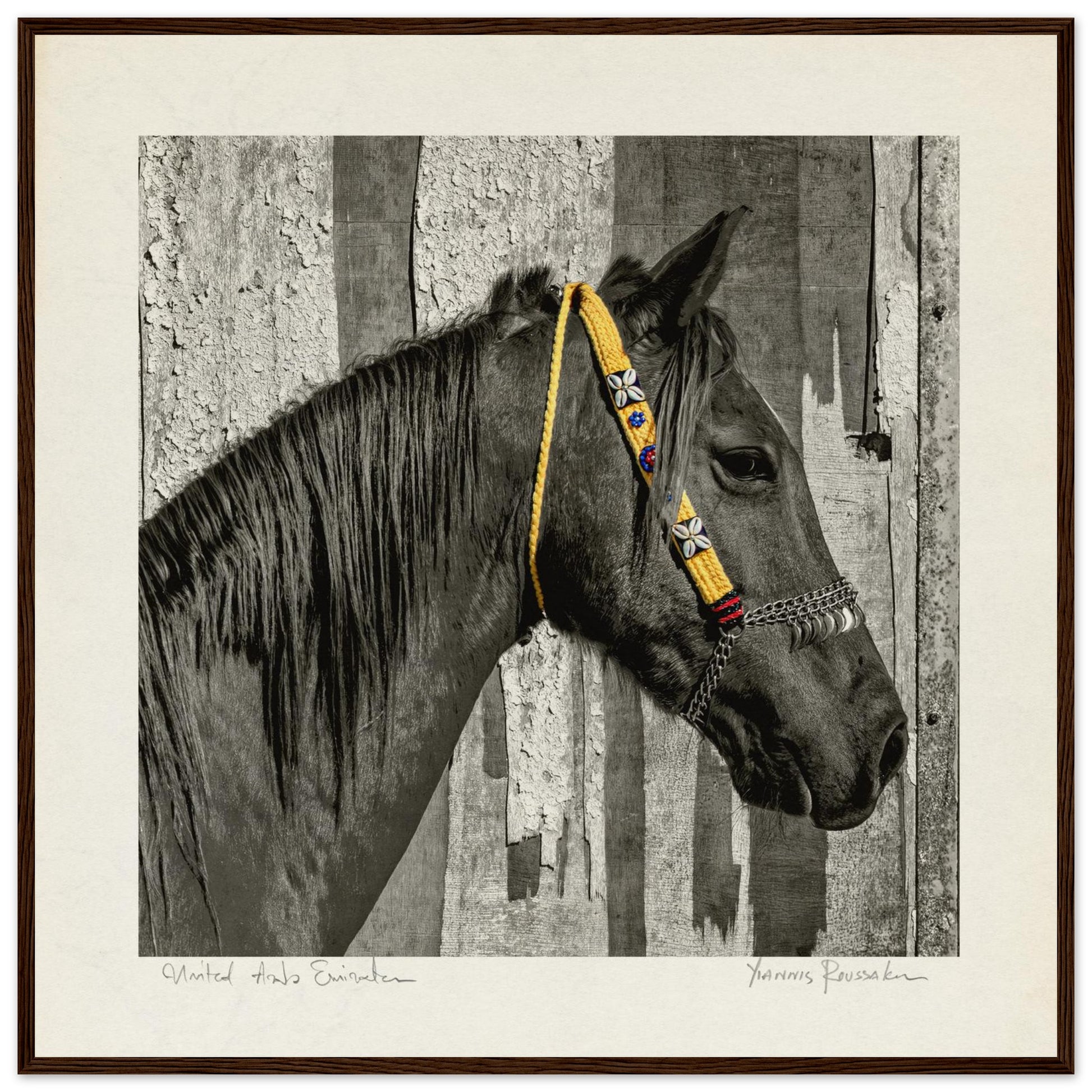 e8b52fa9-4413-46f9-b859-6c2f63757841