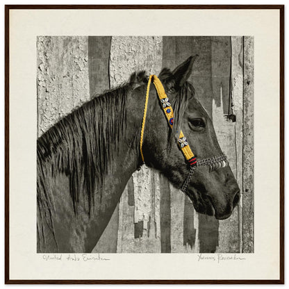 e8b52fa9-4413-46f9-b859-6c2f63757841