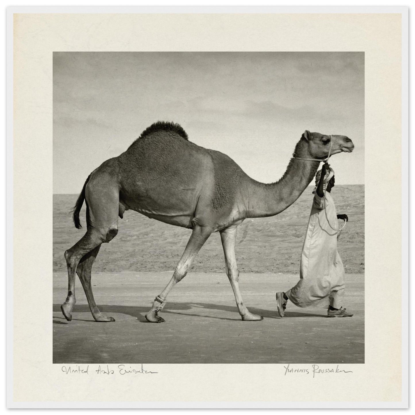 e8ca20c5-4ad8-4533-b5a2-8abf56f1df43