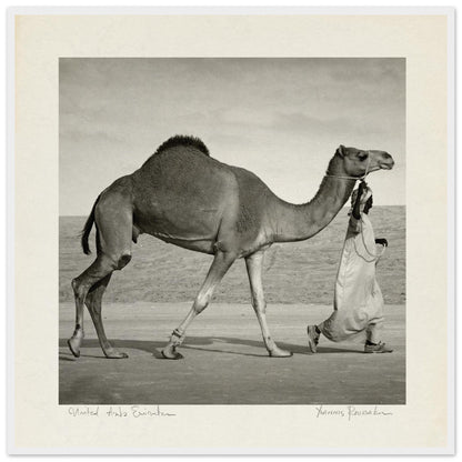 e8ca20c5-4ad8-4533-b5a2-8abf56f1df43