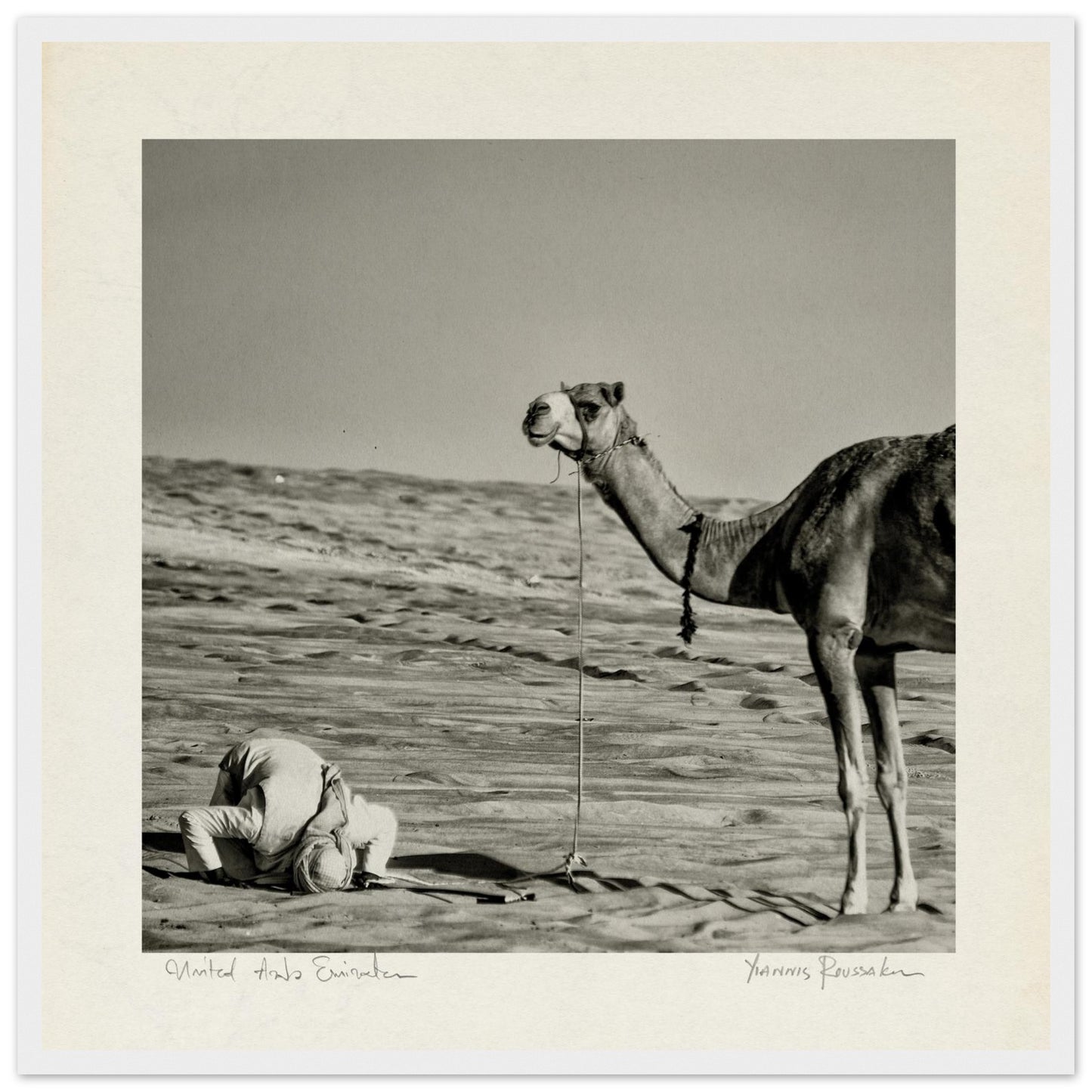 e8e58080-95ac-41e1-9e2a-8e144f32960f