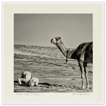 e8e58080-95ac-41e1-9e2a-8e144f32960f