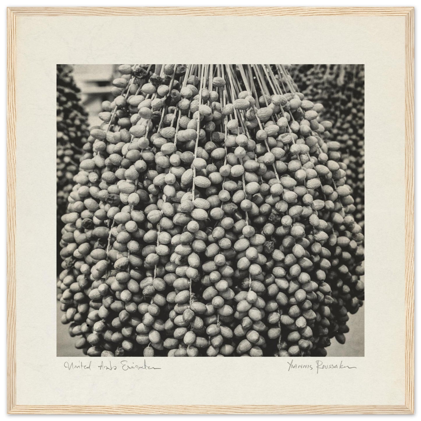 e9d45c6f-2c9d-4532-a27f-6f7249c50111