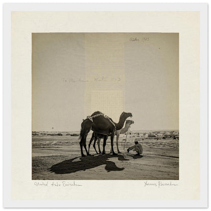 e9f80f35-1f5f-4a7c-8011-66baf1c14cce