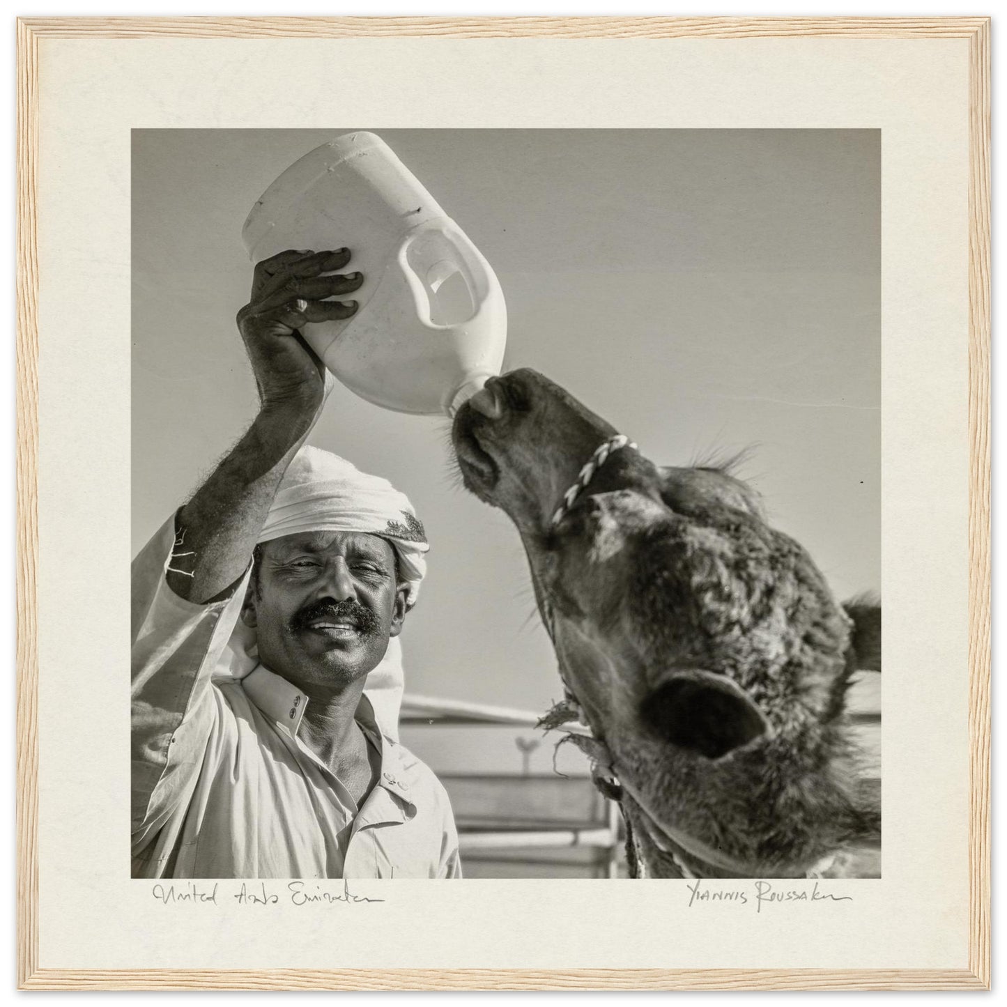 ea0095a8-9cde-456a-8605-0c5e03dcd835