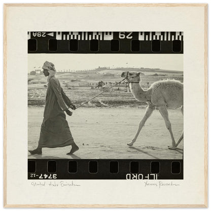 ea512118-3fe2-4346-b9e0-0768875f44a0