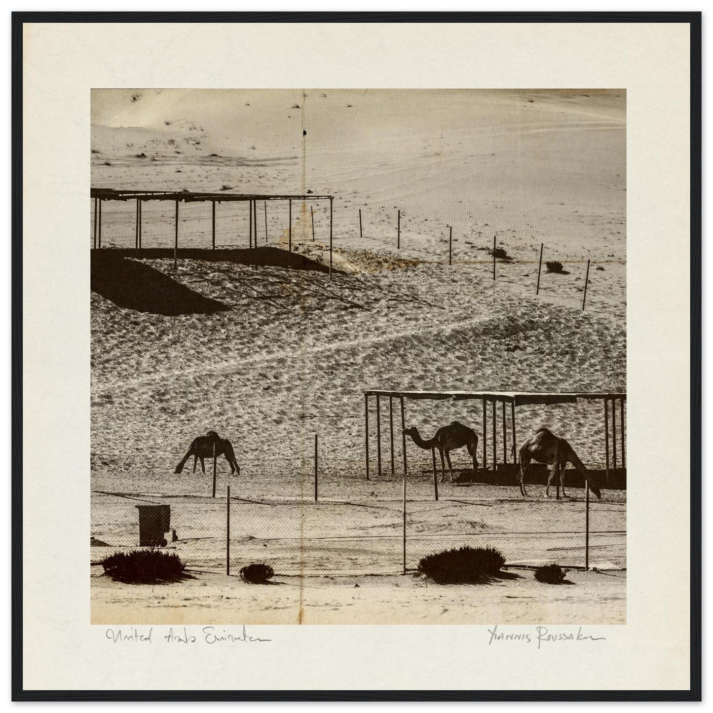 ea85094a-56e2-4901-aaf5-9ba15bd700a5